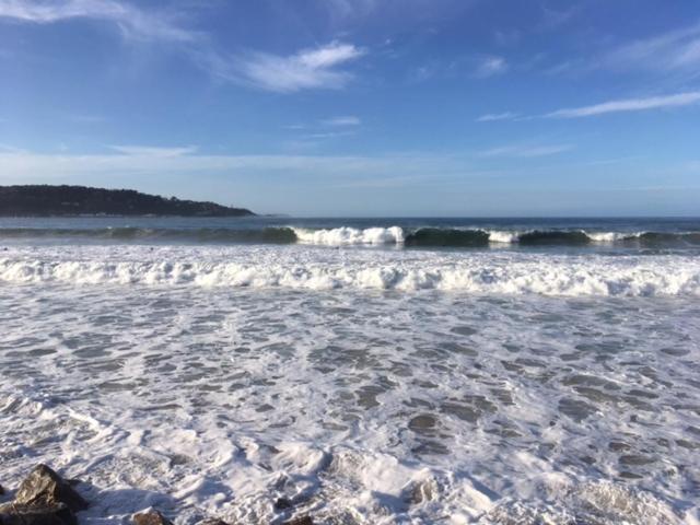 Appartement Les Hirondelles 2Km Plage-Wifi-Jardin-Parking-Draps Et Serviettes Hendaye Exterior photo